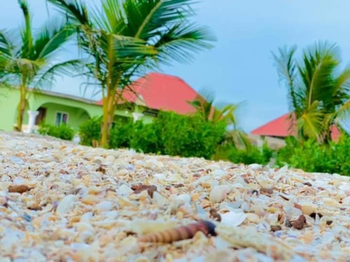 Bosofet Beach And Creek Lodge Sanyang Bagian luar foto