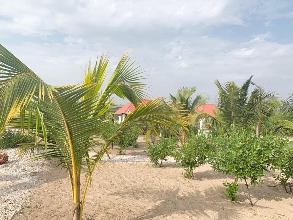 Bosofet Beach And Creek Lodge Sanyang Bagian luar foto